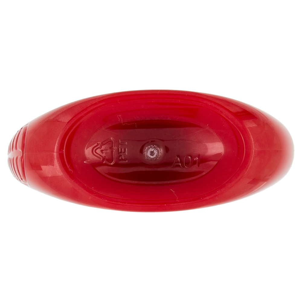 Garnier Ultra Dolce Shampoo all'Olio di Argan e Mirtillo Rosso per capelli colorati, 300 ml